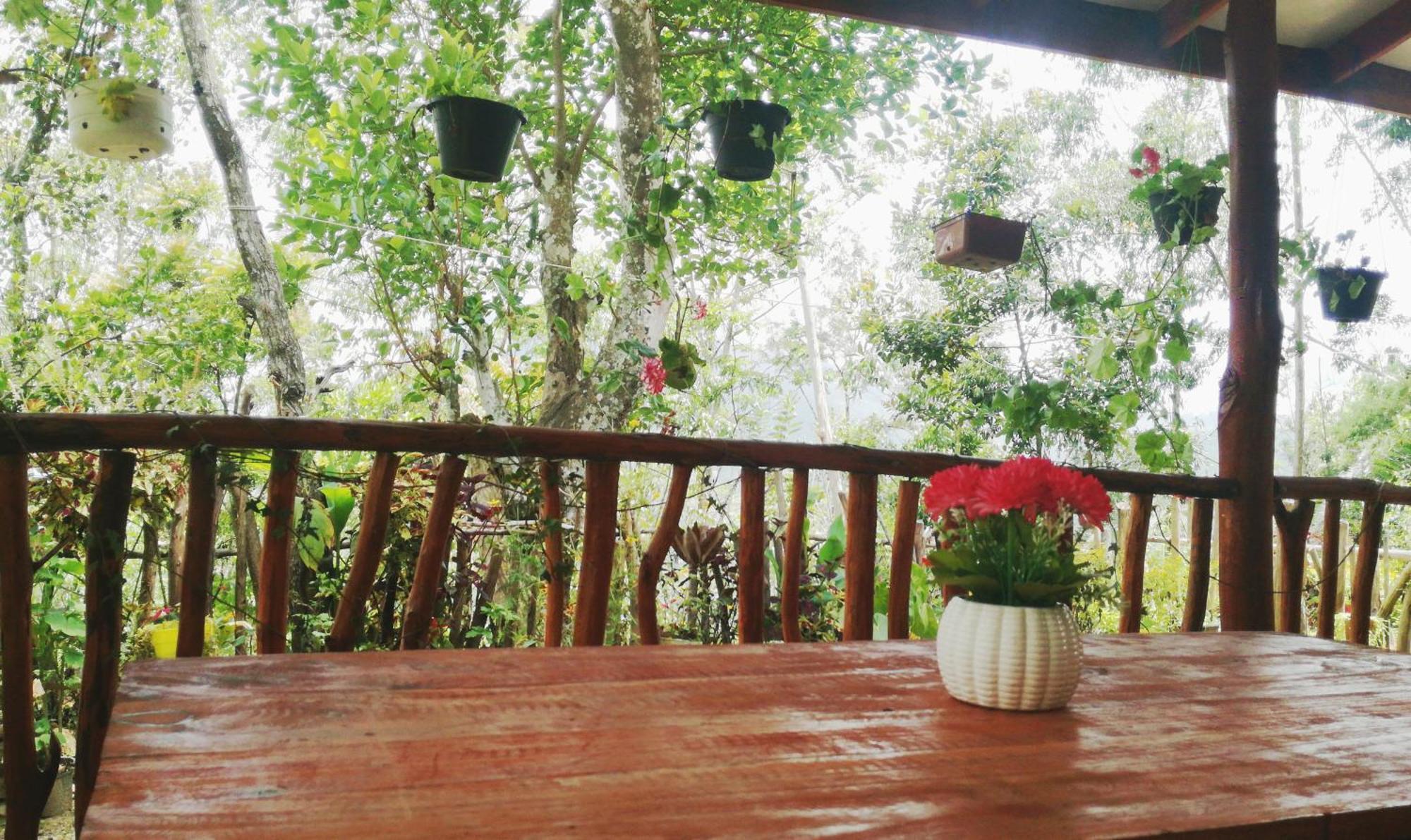 Deneth Homestay Ella Luaran gambar